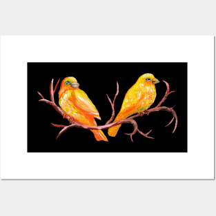 Two Painted Canary Birds Posters and Art